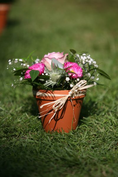 Henley Flowers