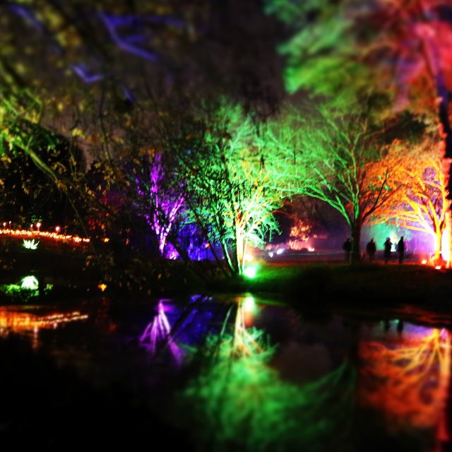 The Enchanted Woodland at Syon Park