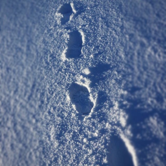 Fire & Ice -The Best of Iceland