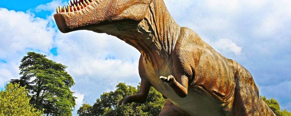 The Dinosaurs are in Town