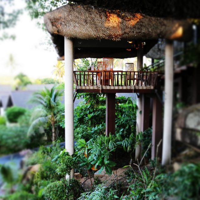Tree Tops Sky Dining & Bar, Anantara, Lawana, Koh Samui- Thailand