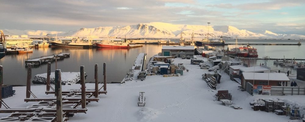 Icelandair Hotel Reykjavik Marina