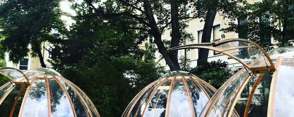 The London Secret Garden