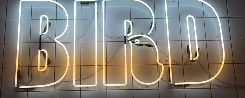 Donut Ice Cream Sandwich- Bird, Camden