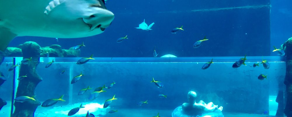 Splashing around at Aquaventure Waterpark Dubai