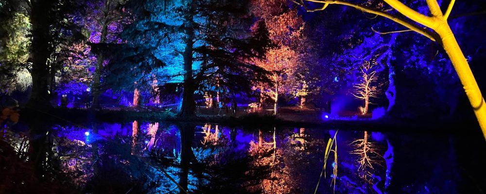 The Enchanted Woodland at Syon Park