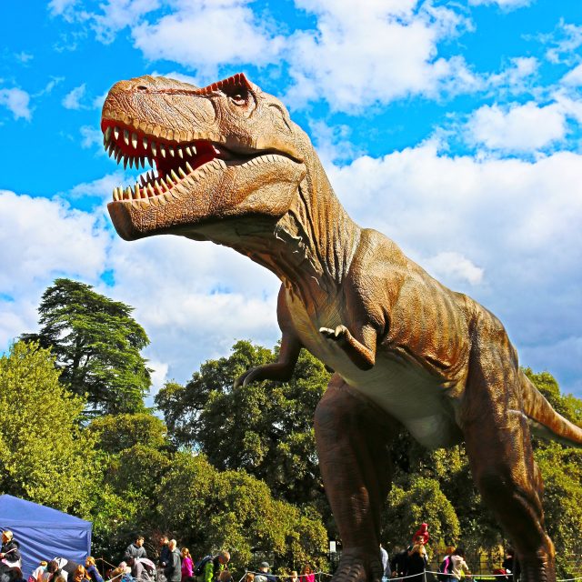 The Dinosaurs are in Town