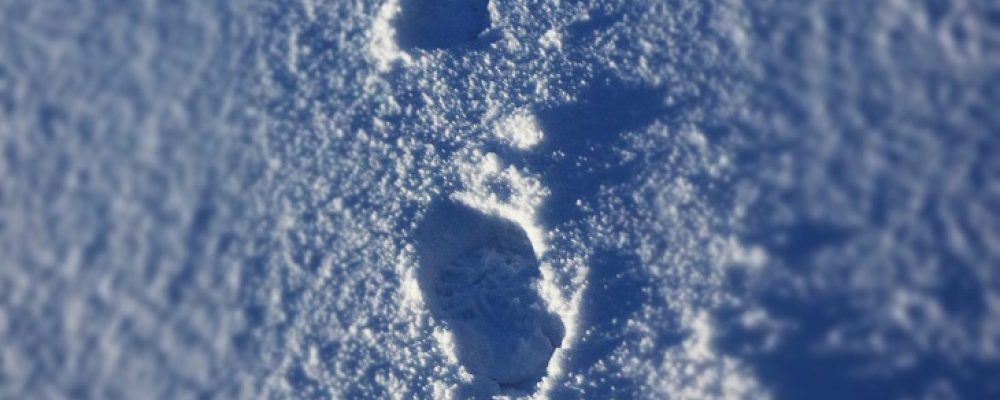 Fire & Ice -The Best of Iceland