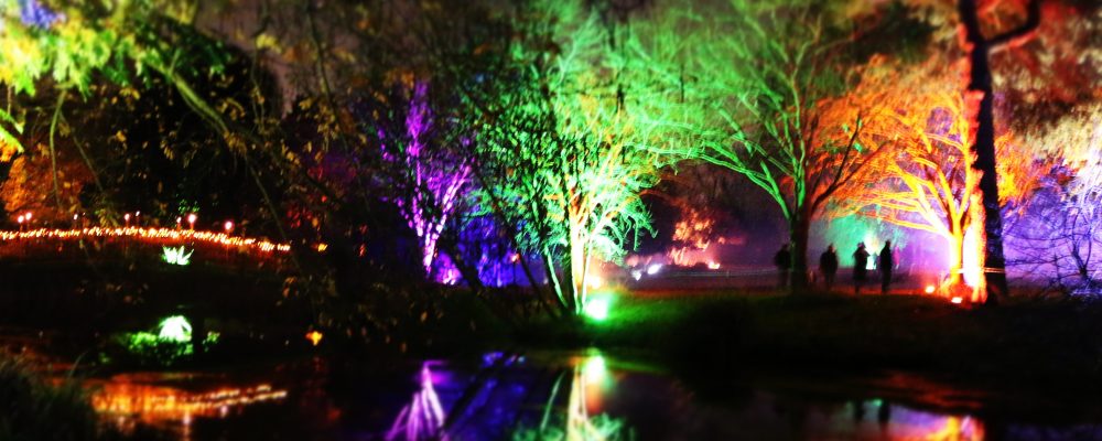 The Enchanted Woodland at Syon Park