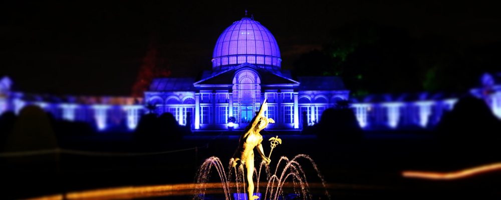 Magical Walk in the Enchanted Woodland of Syon Park