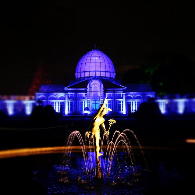 Syon Park’s Enchanted Woodland