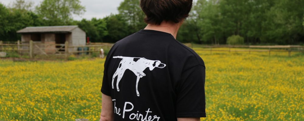 The Pointer- Brill