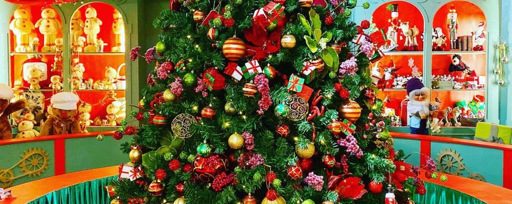 Santa’s Grotto at Chessington Garden Centre