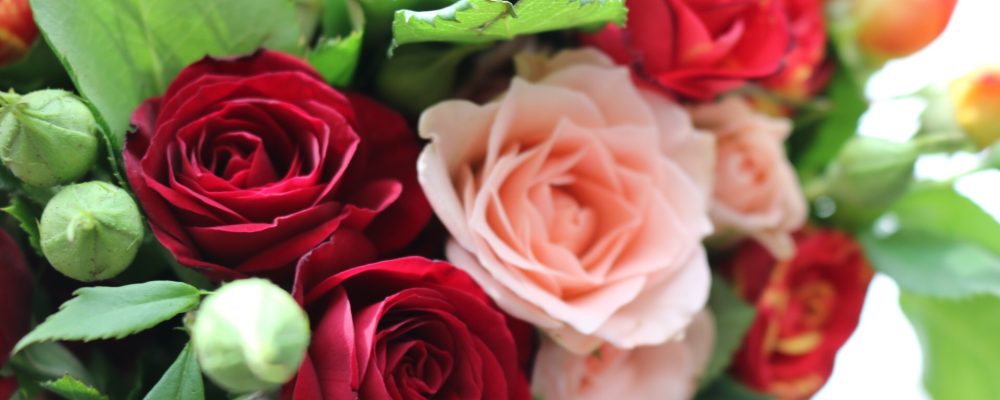 Blossoming Gifts Flowers