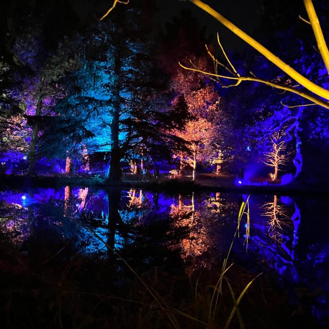 The Enchanted Woodland at Syon Park