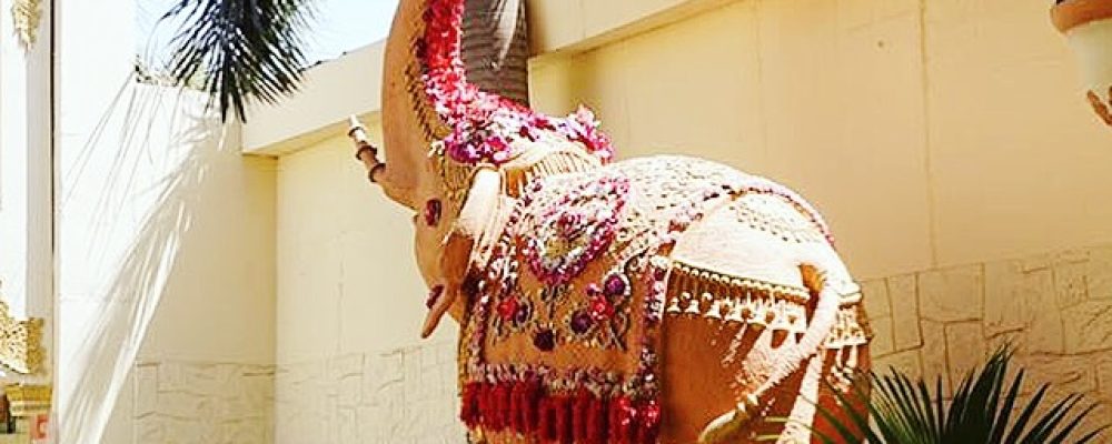 Destination Wedding India – Yadu Greens