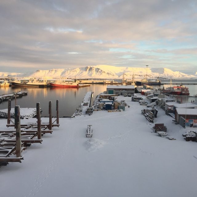 Icelandair Hotel Reykjavik Marina