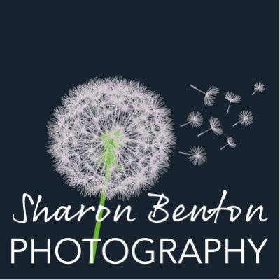 Sharon Benton Photography