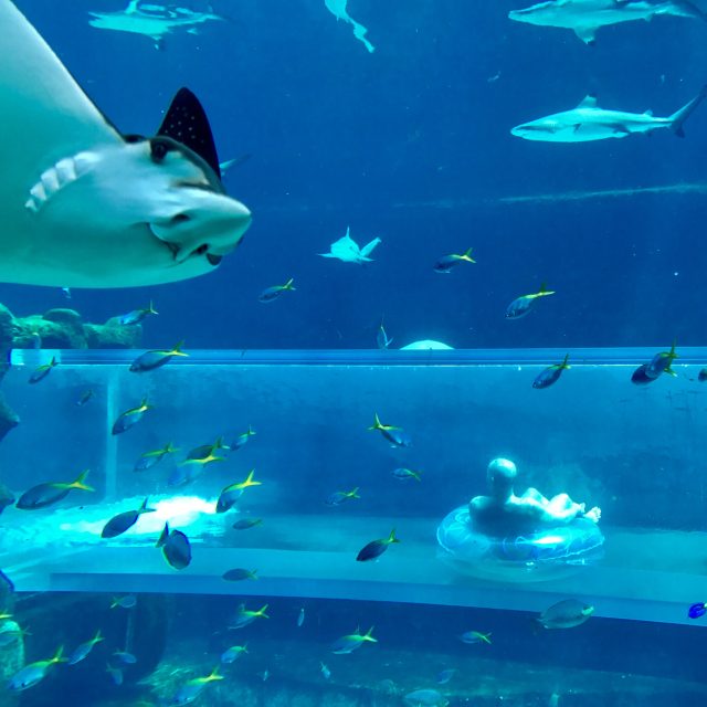 Splashing around at Aquaventure Waterpark Dubai
