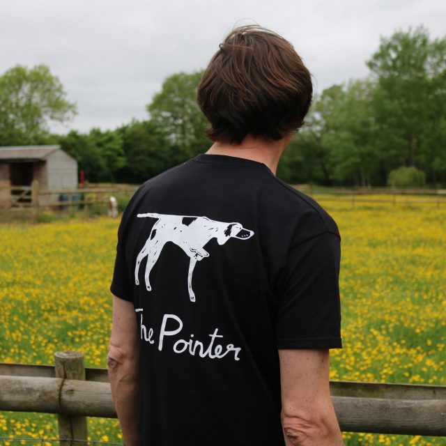 The Pointer- Brill