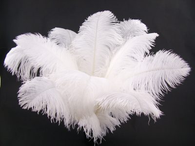 The Feather Factory